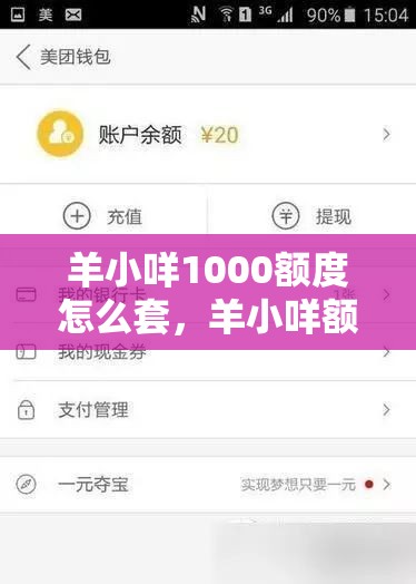 羊小咩1000额度怎么套，羊小咩额度套现方法