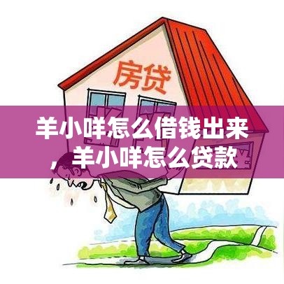 羊小咩怎么借钱出来，羊小咩怎么贷款