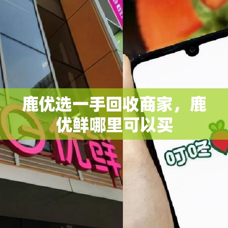 鹿优选一手回收商家，鹿优鲜哪里可以买