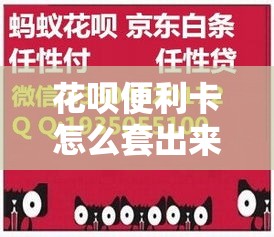 花呗便利卡怎么套出来，花呗便利店月卡是什么