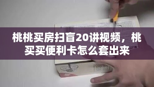 桃桃买房扫盲20讲视频,桃买买便利卡怎么套出来