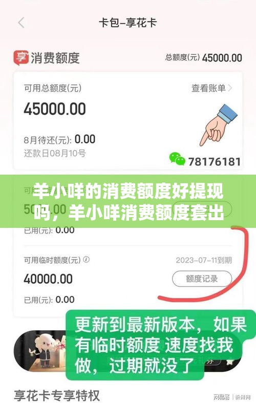 羊小咩的消费额度好提现吗，羊小咩消费额度套出来