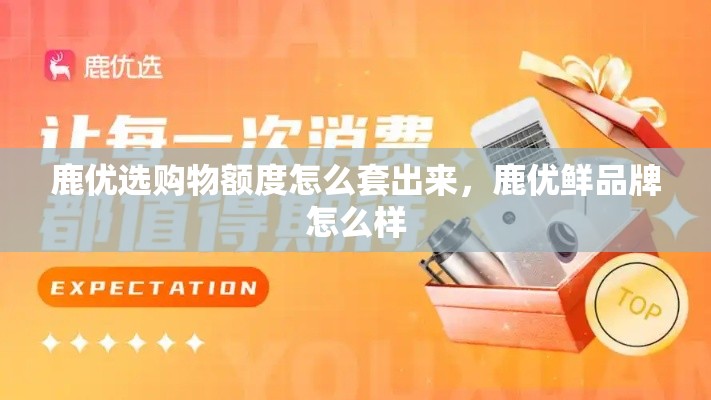 鹿优选购物额度怎么套出来,鹿优鲜品牌怎么样