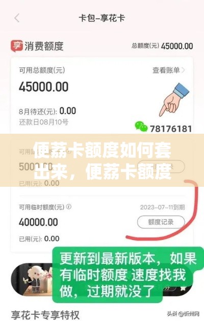 便荔卡额度如何套出来,便荔卡额度套出来方法