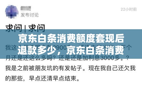 京东白条消费额度套现后退款多少，京东白条消费额度怎么套