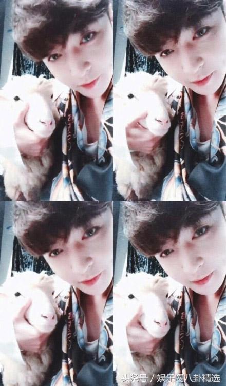 羊小咩购物额度怎么套出来，羊小咩购物额度怎么套出来秒到