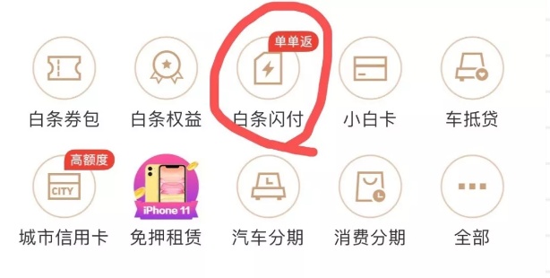 白条消费额度套出来，白条购物额度怎么套