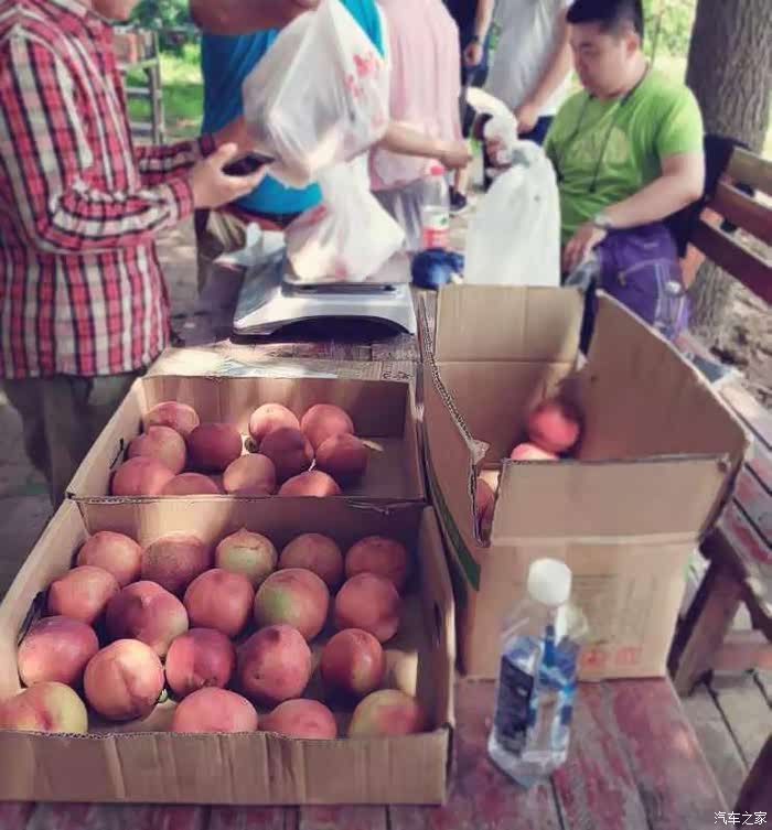 京东白条回收是什么意思，京东白条回收商家秒到