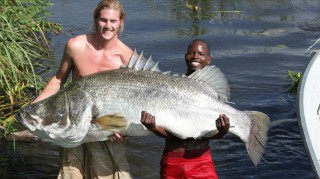 世界鱼类重量排名前十,世界上现存最大的鱼TOP10,最重的鱼竟达21300公斤!(世界鱼类重量排名前十名)