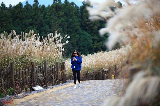 世界前十体育场排名全球前十体育场