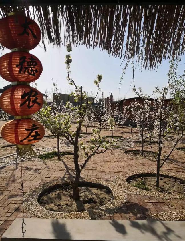 运城排名前十的楼盘（中国名马排名前十名）