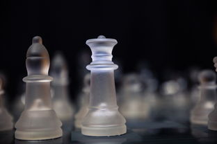 世界酒排名?(高档白酒排名)