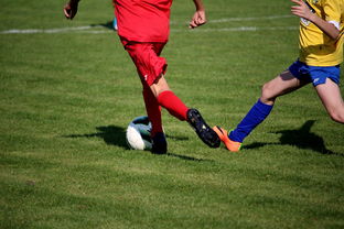 世界进球排名前十的国家，世界进球排名前十