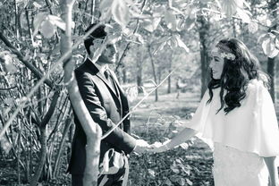 世界前十著名导演排名榜，世界顶级导演排名