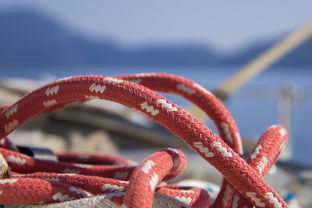 文玩绳子十大排名品牌图片，文玩绳子十大排名品牌