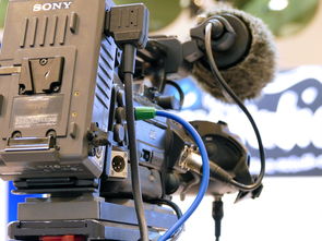 十大排名打药泵品牌,打药泵哪个品牌好