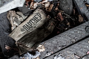 世界前十恐怖电影正片,世界前十的恐怖片