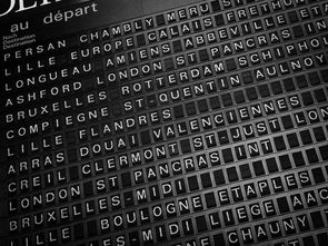 2020年世界顶尖大学排行榜，世界顶尖的前十的排名及分数线