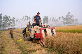 世界狙击手前十排行，世界狙击手前十排行榜