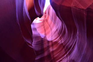 生殖器的十大排名，生殖 排名