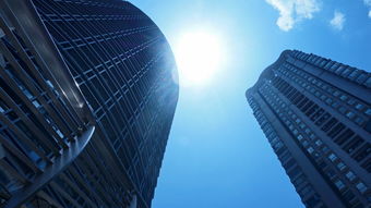 创新企业十大排名，知名创新企业