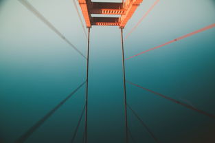 品牌灯十大排名的有，十大品牌灯是哪十大