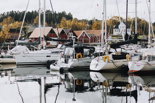 世界前十港口中国有几个港口，世界前十港口中国有几个